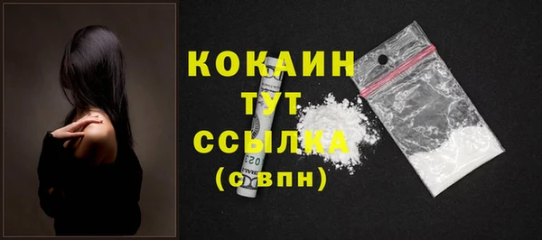 мдпв Осташков