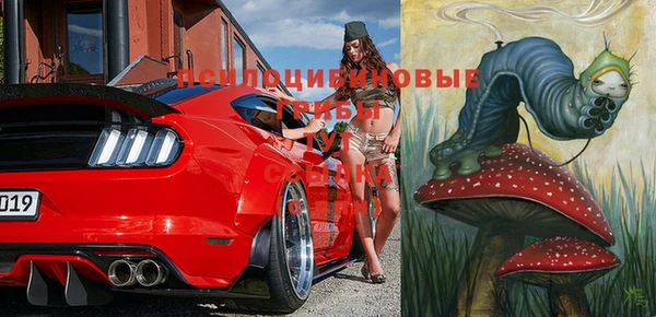 круглые Осинники