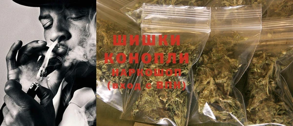 мдпв Осташков
