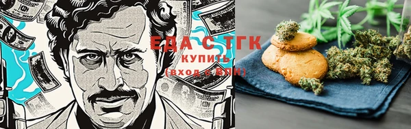 мдпв Осташков