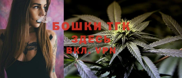 круглые Осинники