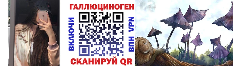 Купить закладки  Руза  Псилоцибиновые грибы мицелий 